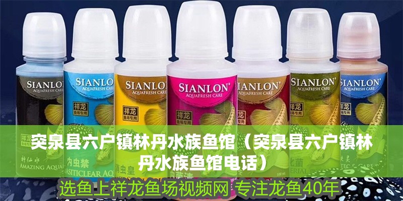 突泉縣六戶鎮林丹水族魚館（突泉縣六戶鎮林丹水族魚館電話）