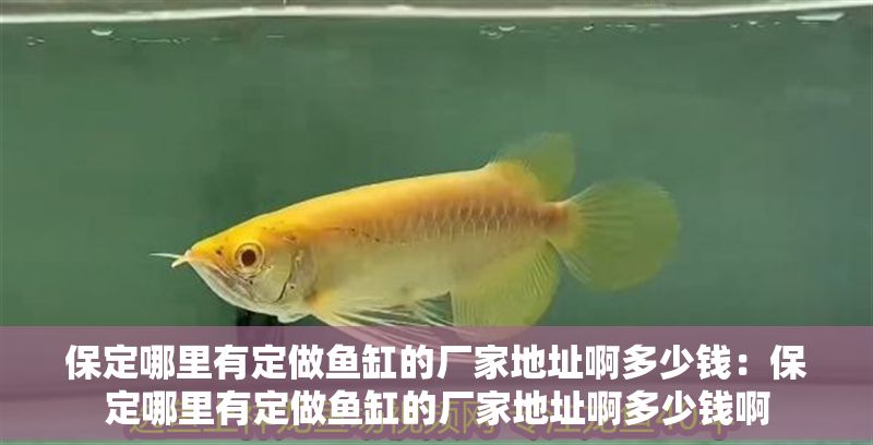 保定哪里有定做魚缸的廠家地址啊多少錢：保定哪里有定做魚缸的廠家地址啊多少錢啊