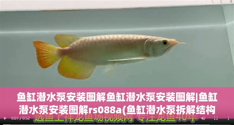 魚缸潛水泵安裝圖解魚缸潛水泵安裝圖解|魚缸潛水泵安裝圖解rs088a(魚缸潛水泵拆解結(jié)構(gòu)圖)
