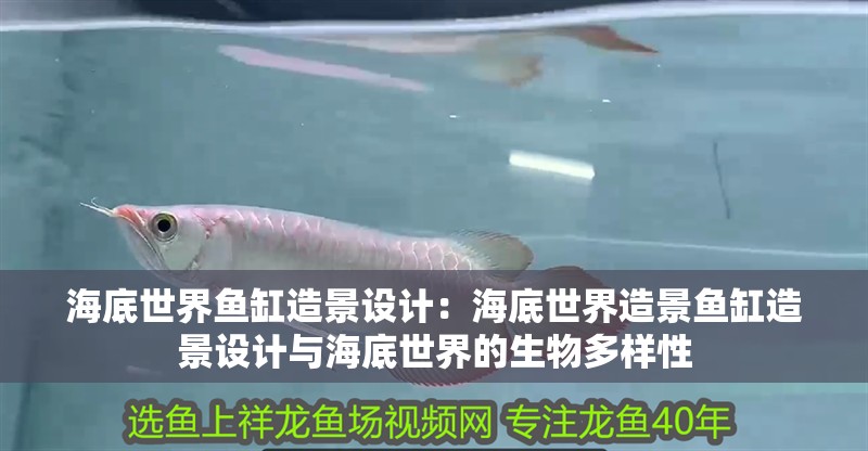 海底世界魚缸造景設計：海底世界造景魚缸造景設計與海底世界的生物多樣性