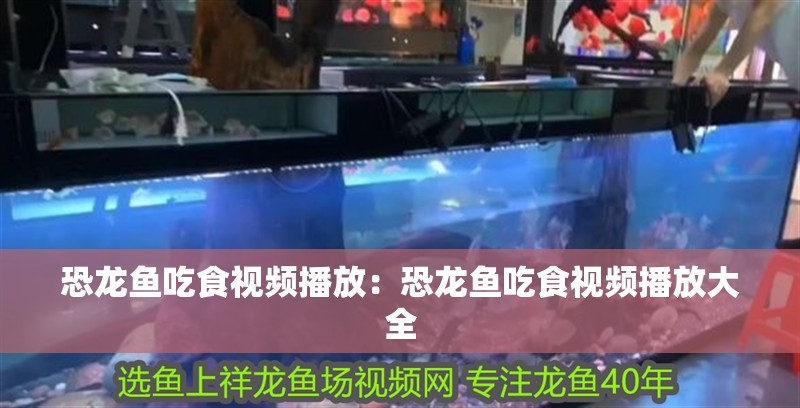 紅龍魚(yú)用什么顏色燈光好