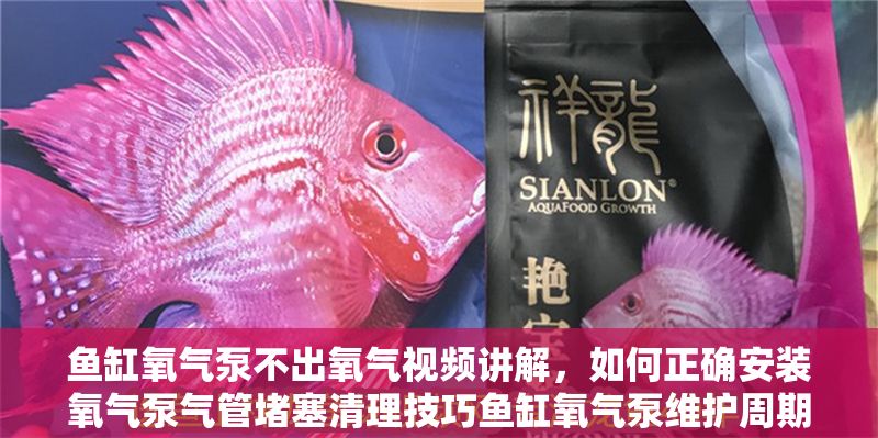 魚缸氧氣泵不出氧氣視頻講解，如何正確安裝氧氣泵氣管堵塞清理技巧魚缸氧氣泵維護(hù)周期