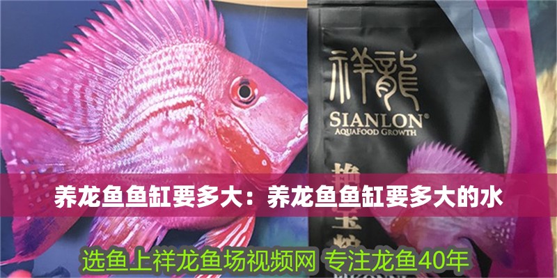養龍魚魚缸要多大：養龍魚魚缸要多大的水