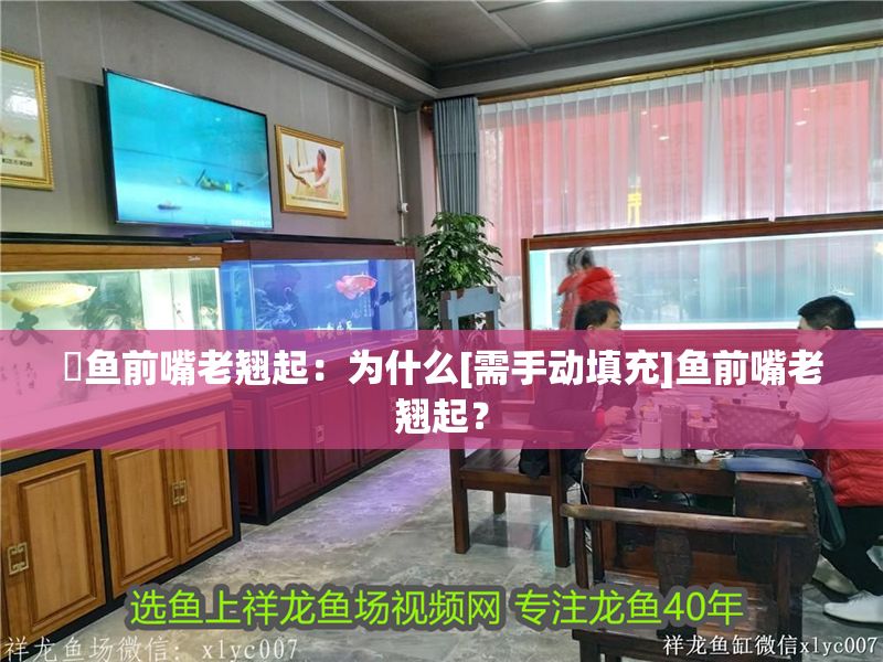 魟魚前嘴老翹起：為什么[需手動填充]魚前嘴老翹起？ 魟魚前嘴老翹起：為什么[需手動填充]魚前嘴老翹起？ 魟魚百科 第2張