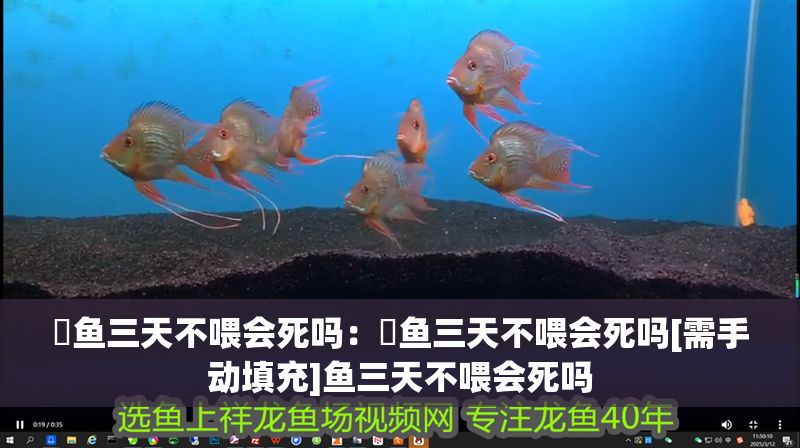 魟魚三天不喂會死嗎：魟魚三天不喂會死嗎[需手動填充]魚三天不喂會死嗎