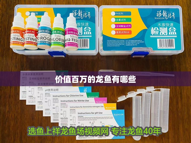 價值百萬的龍魚有哪些