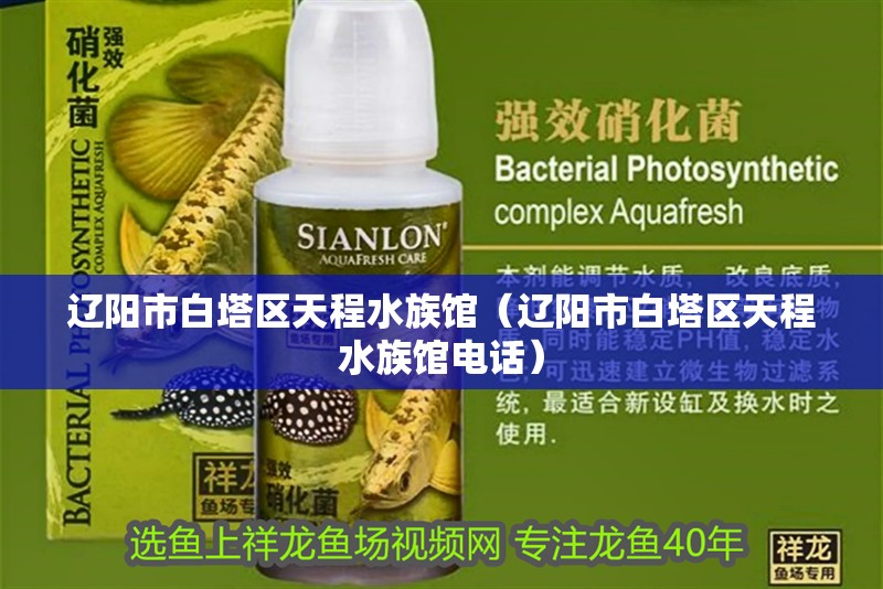 遼陽市白塔區天程水族館（遼陽市白塔區天程水族館電話）