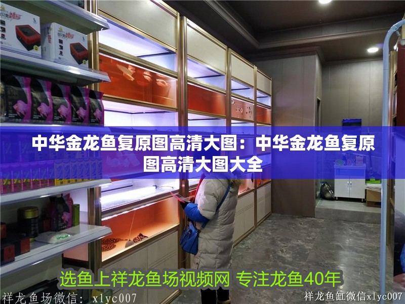 中華金龍魚復原圖高清大圖：中華金龍魚復原圖高清大圖大全