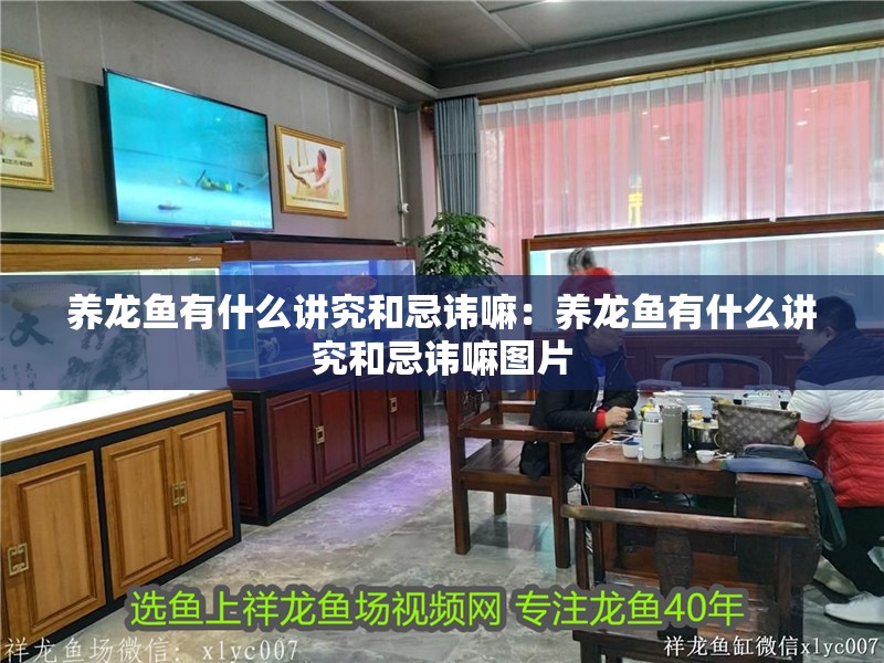 養(yǎng)龍魚有什么講究和忌諱嘛：養(yǎng)龍魚有什么講究和忌諱嘛圖片