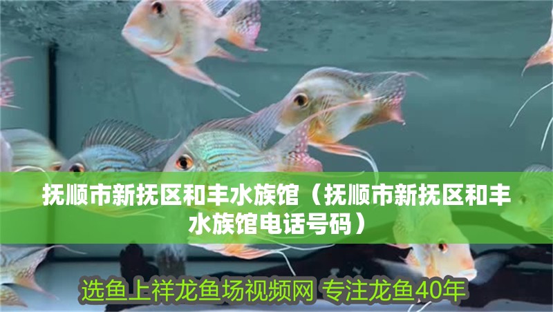 撫順市新撫區和豐水族館（撫順市新撫區和豐水族館電話號碼）