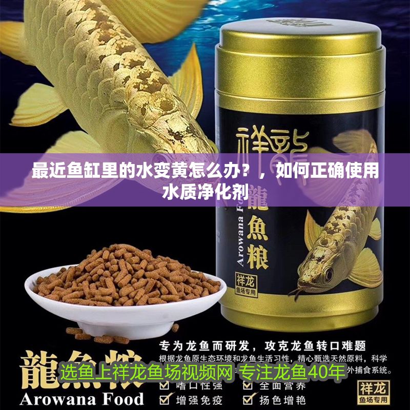 最近魚缸里的水變黃怎么辦？，如何正確使用水質凈化劑