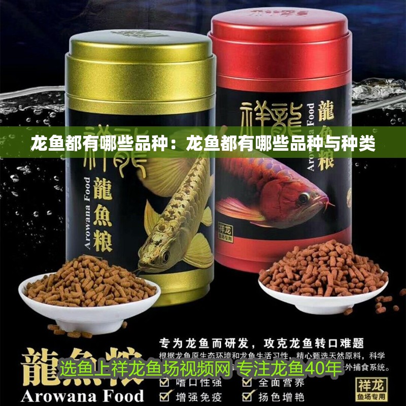 龍魚都有哪些品種：龍魚都有哪些品種與種類