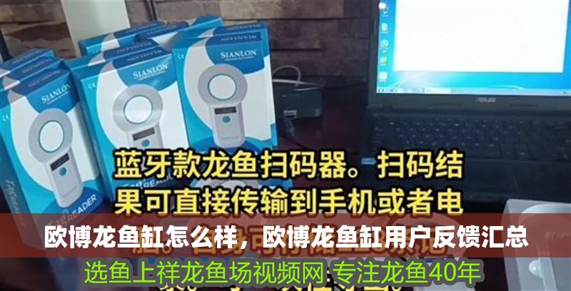 歐博龍魚缸怎么樣，歐博龍魚缸用戶反饋匯總