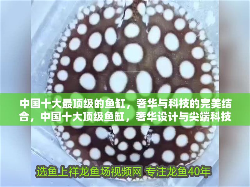 中國十大最頂級的魚缸，奢華與科技的完美結(jié)合，中國十大頂級魚缸，奢華設(shè)計(jì)與尖端科技的極致融合