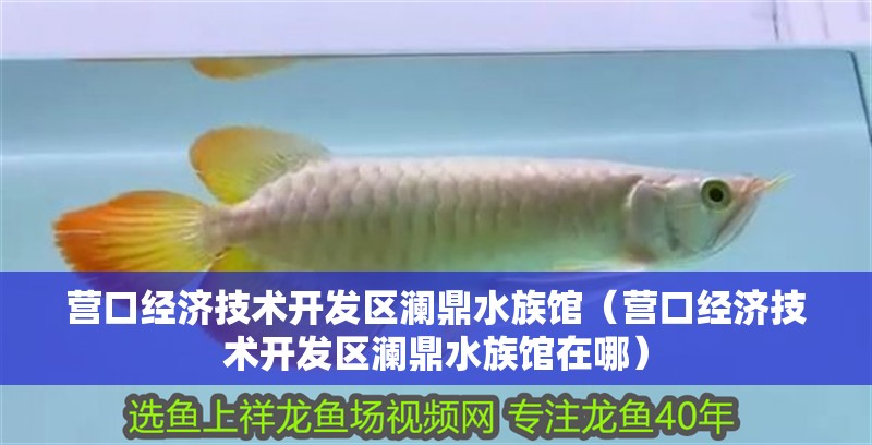 營口經(jīng)濟(jì)技術(shù)開發(fā)區(qū)瀾鼎水族館（營口經(jīng)濟(jì)技術(shù)開發(fā)區(qū)瀾鼎水族館在哪）