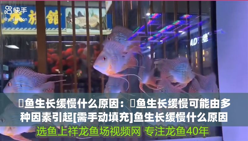 魟魚生長緩慢什么原因：魟魚生長緩慢可能由多種因素引起[需手動填充]魚生長緩慢什么原因 魟魚生長緩慢什么原因：魟魚生長緩慢可能由多種因素引起[需手動填充]魚生長緩慢什么原因 魟魚百科 第2張