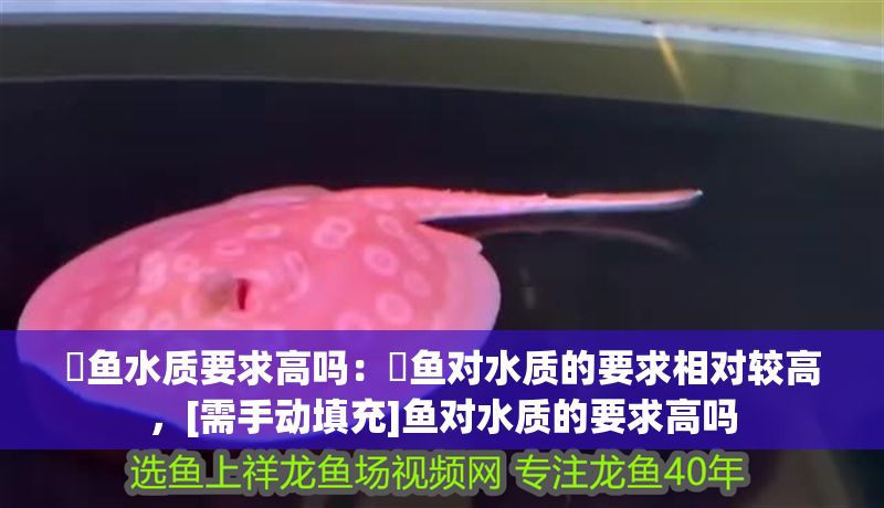 魟魚水質要求高嗎：魟魚對水質的要求相對較高，[需手動填充]魚對水質的要求高嗎