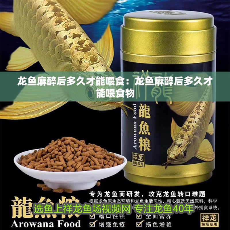 龍魚麻醉后多久才能喂食：龍魚麻醉后多久才能喂食物