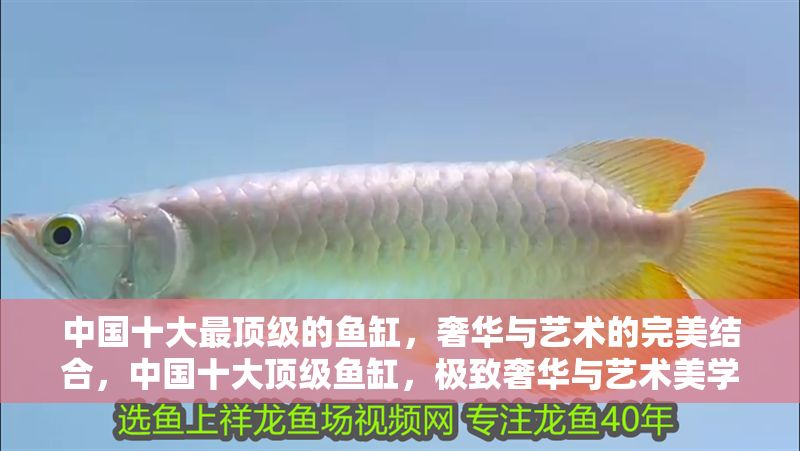 中國十大最頂級的魚缸，奢華與藝術的完美結合，中國十大頂級魚缸，極致奢華與藝術美學的驚艷融合