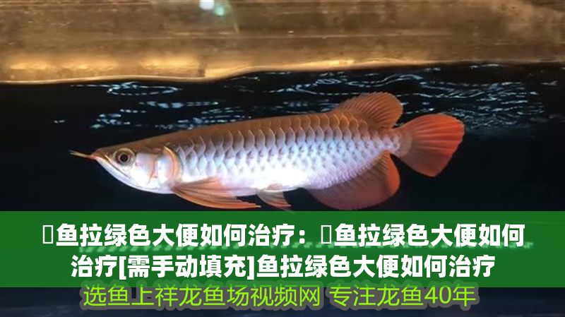 魟魚拉綠色大便如何治療：魟魚拉綠色大便如何治療[需手動填充]魚拉綠色大便如何治療