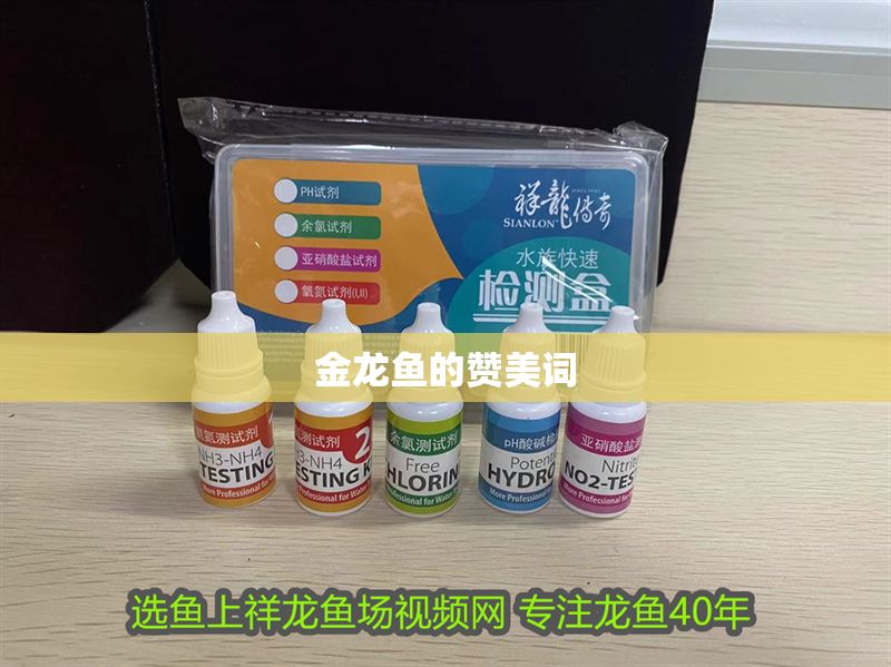 金龍魚的贊美詞