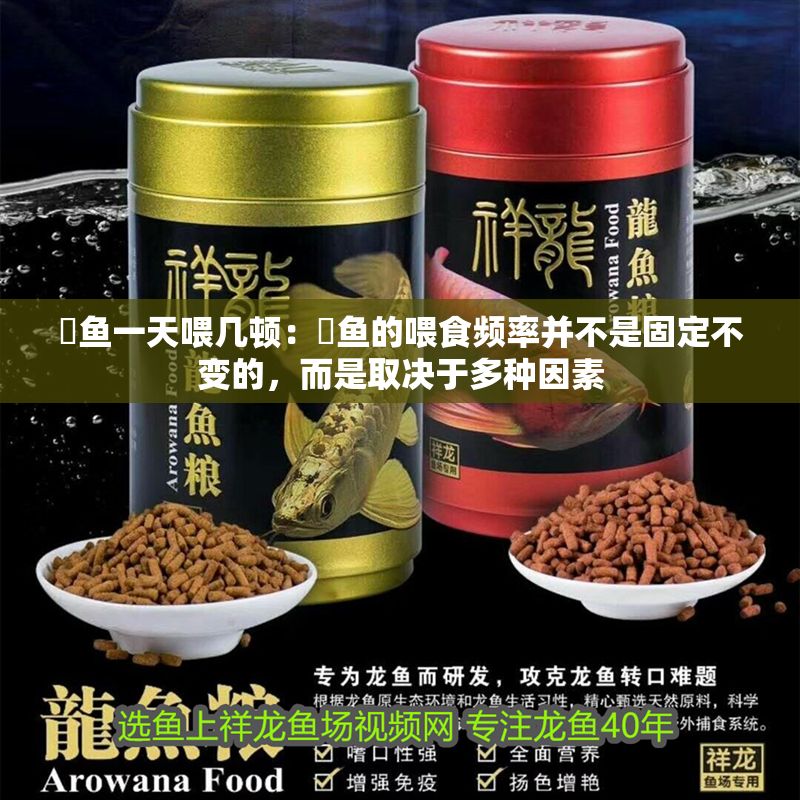 魟魚一天喂幾頓：魟魚的喂食頻率并不是固定不變的，而是取決于多種因素