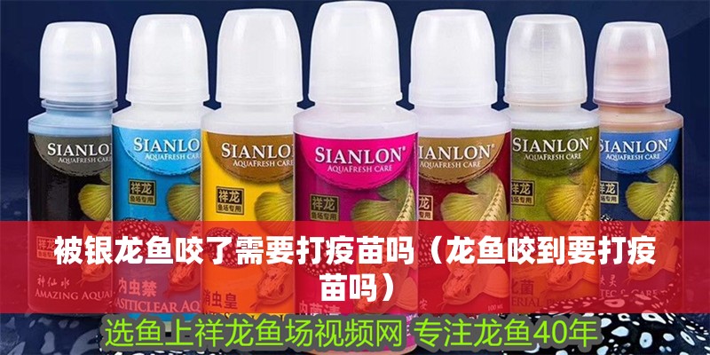 被銀龍魚咬了需要打疫苗嗎（龍魚咬到要打疫苗嗎）