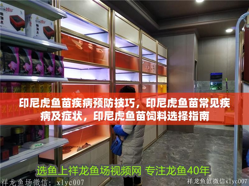 印尼虎魚苗疾病預防技巧，印尼虎魚苗常見疾病及癥狀，印尼虎魚苗飼料選擇指南