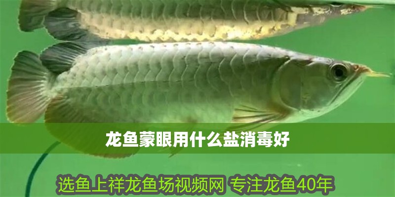 龍魚蒙眼用什么鹽消毒好