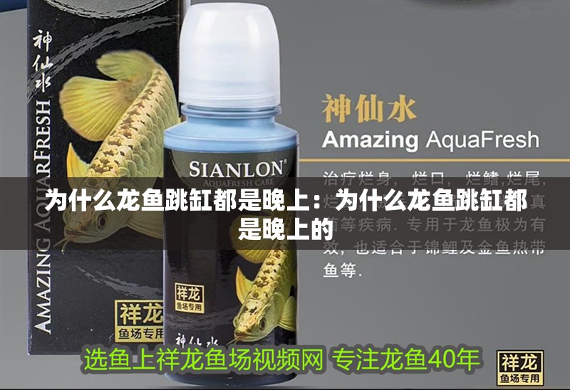 為什么龍魚跳缸都是晚上：為什么龍魚跳缸都是晚上的