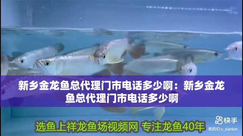 博特水泵造浪模式圖解(水泵的造浪模式什么用) 博特水泵造浪模式圖解(水泵的造浪模式什么用) 博特水族