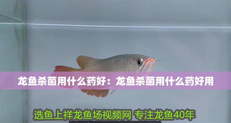 龍魚殺菌用什么藥好：龍魚殺菌用什么藥好用