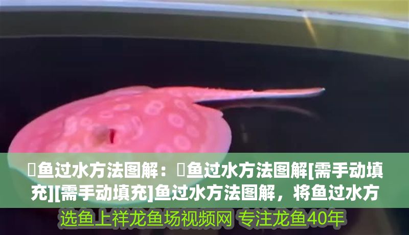 魟魚過水方法圖解：魟魚過水方法圖解[需手動填充][需手動填充]魚過水方法圖解，將魚過水方法圖解
