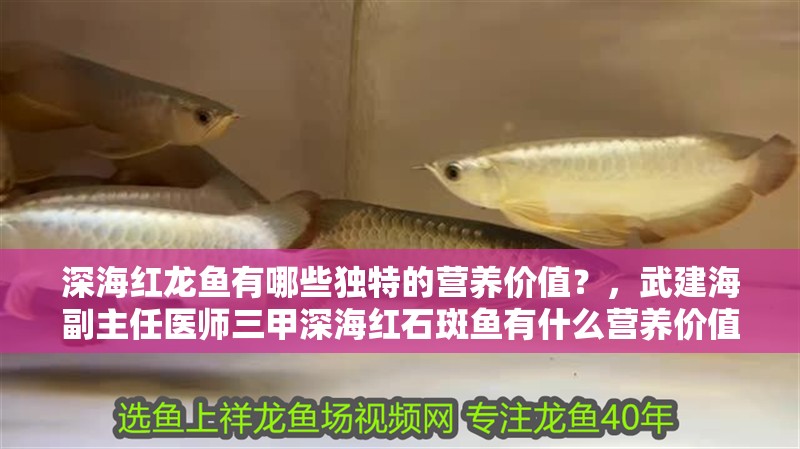 深海紅龍魚有哪些獨特的營養價值？，武建海副主任醫師三甲深海紅石斑魚有什么營養價值