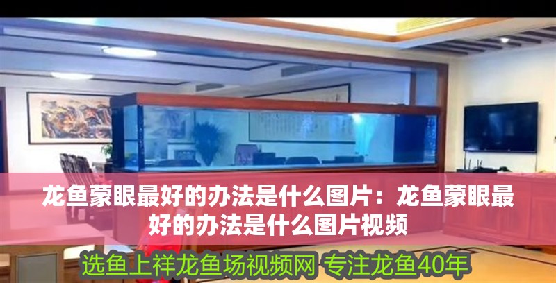 龍魚蒙眼最好的辦法是什么圖片：龍魚蒙眼最好的辦法是什么圖片視頻