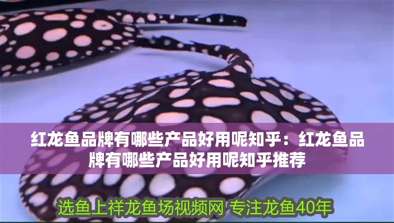 紅龍魚品牌有哪些產(chǎn)品好用呢知乎：紅龍魚品牌有哪些產(chǎn)品好用呢知乎推薦