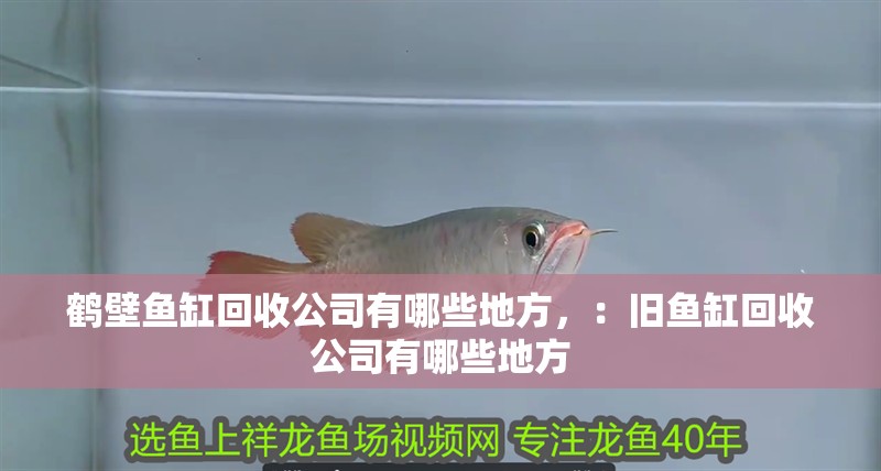 鶴壁魚缸回收公司有哪些地方，：舊魚缸回收公司有哪些地方