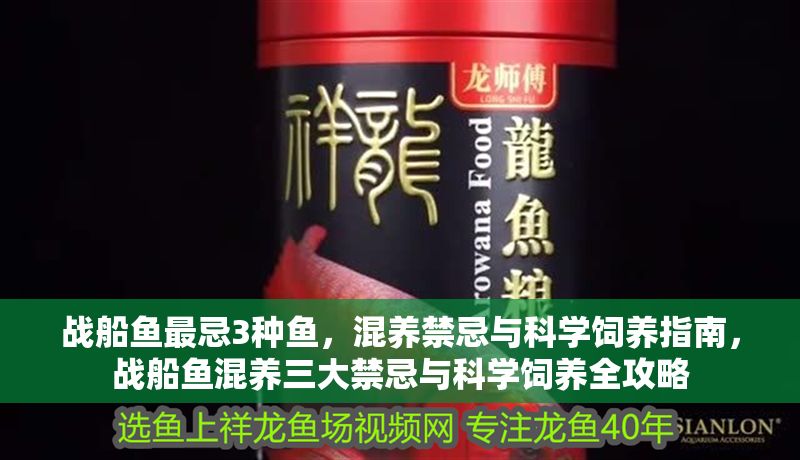 戰船魚最忌3種魚，混養禁忌與科學飼養指南，戰船魚混養三大禁忌與科學飼養全攻略