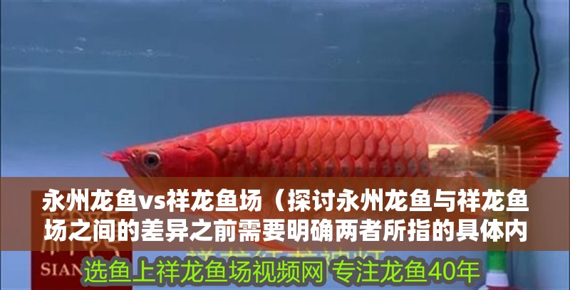 永州龍魚(yú)vs祥龍魚(yú)場(chǎng)（探討永州龍魚(yú)與祥龍魚(yú)場(chǎng)之間的差異之前需要明確兩者所指的具體內(nèi)容）