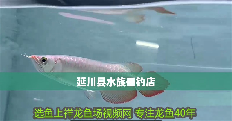 延川縣水族垂釣店