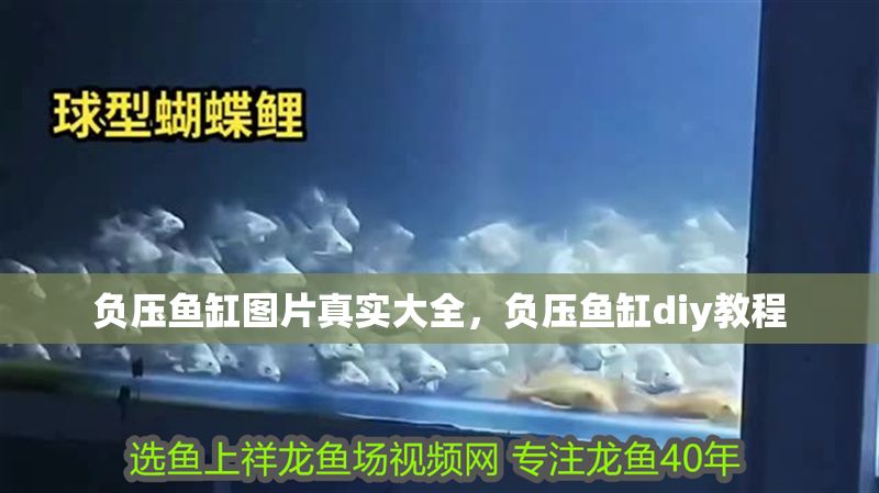 負壓魚缸圖片真實大全，負壓魚缸diy教程