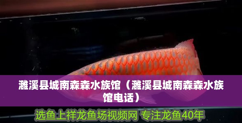 濉溪縣城南森森水族館（濉溪縣城南森森水族館電話）