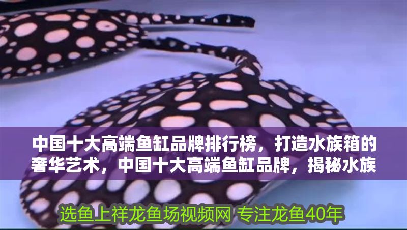 中國十大高端魚缸品牌排行榜，打造水族箱的奢華藝術，中國十大高端魚缸品牌，揭秘水族箱的奢華藝術