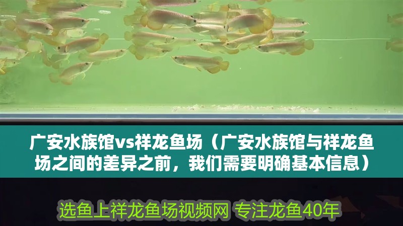 廣安水族館vs祥龍魚場(chǎng)（廣安水族館與祥龍魚場(chǎng)之間的差異之前，我們需要明確基本信息）