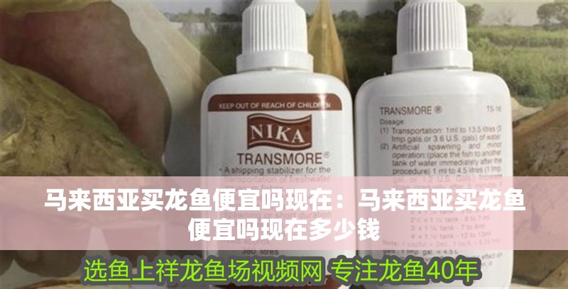 馬來(lái)西亞買龍魚(yú)便宜嗎現(xiàn)在：馬來(lái)西亞買龍魚(yú)便宜嗎現(xiàn)在多少錢