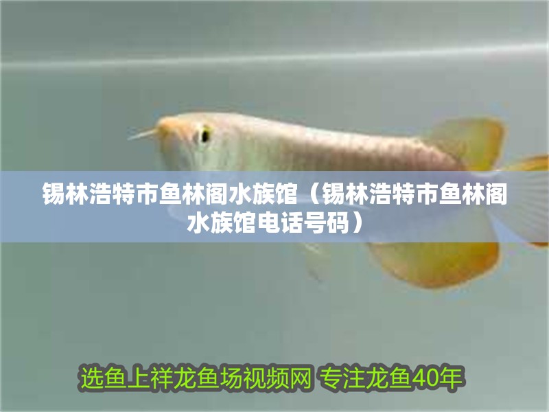 錫林浩特市魚林閣水族館（錫林浩特市魚林閣水族館電話號碼）
