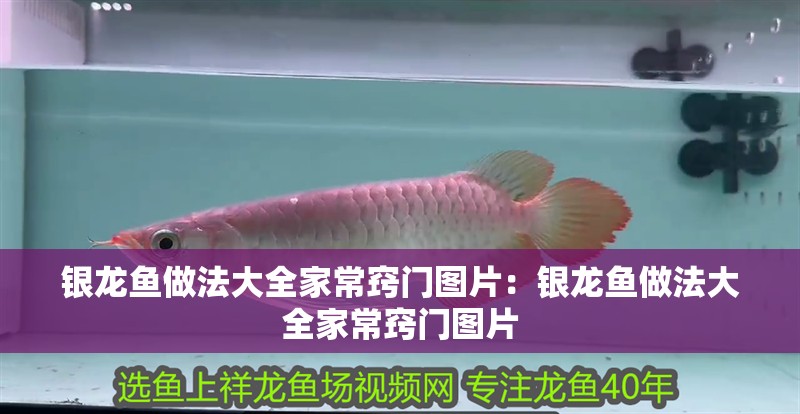 銀龍魚做法大全家常竅門圖片：銀龍魚做法大全家常竅門圖片