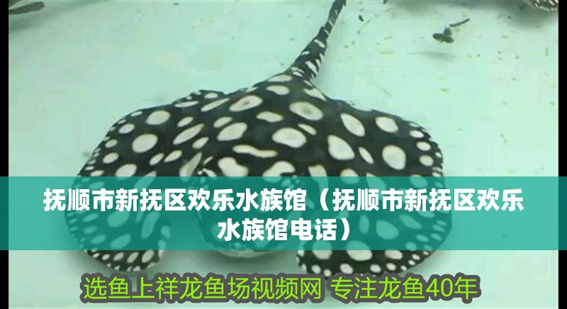 撫順市新?lián)釁^(qū)歡樂水族館（撫順市新?lián)釁^(qū)歡樂水族館電話）