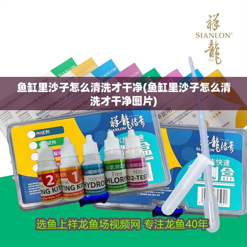 魚缸里沙子怎么清洗才干凈(魚缸里沙子怎么清洗才干凈圖片)
