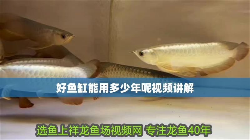 好魚缸能用多少年呢視頻講解